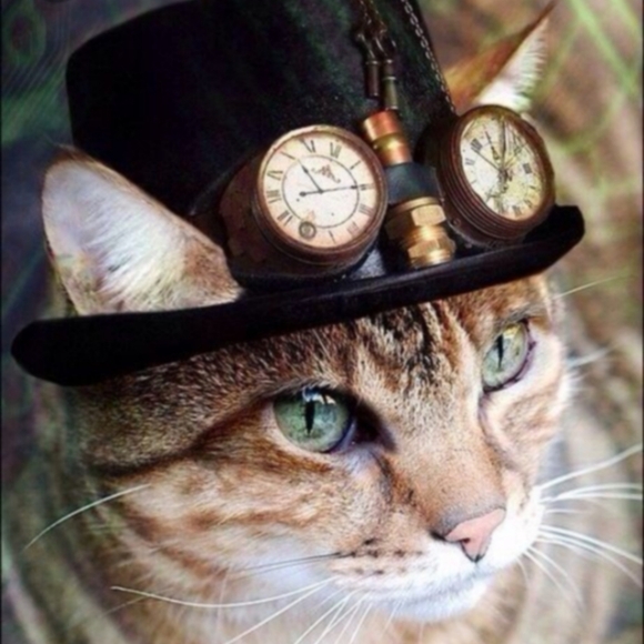 Meet your Posher, Cat - Picture 3 of 10